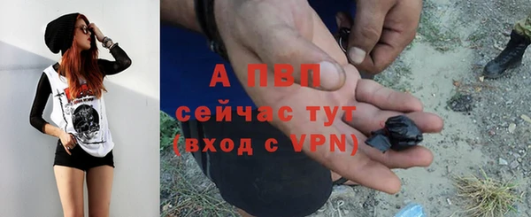 сатива Каменка