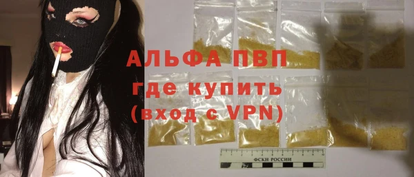 сатива Каменка