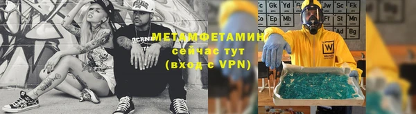 сатива Каменка