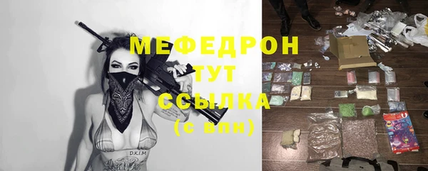 сатива Каменка