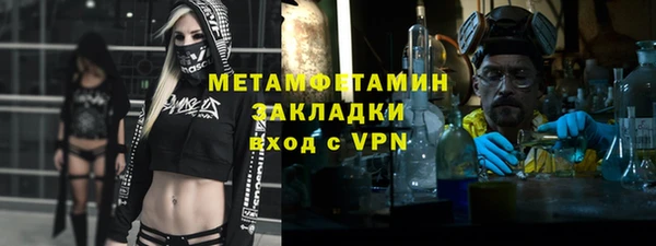 сатива Каменка