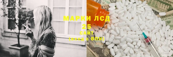 сатива Каменка