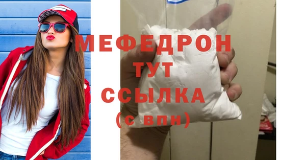 сатива Каменка