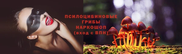 сатива Каменка