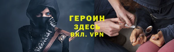 сатива Каменка