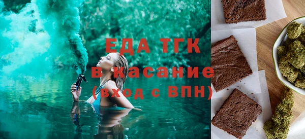 сатива Каменка