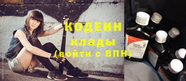 сатива Каменка