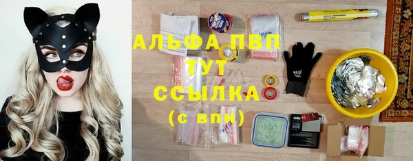 сатива Каменка