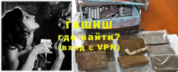 сатива Каменка