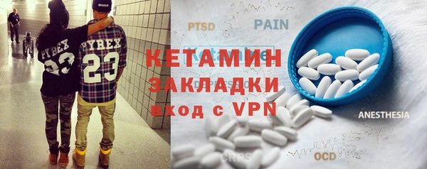 сатива Каменка