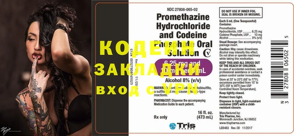 сатива Каменка