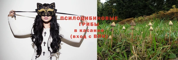 сатива Каменка
