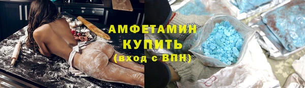 сатива Каменка