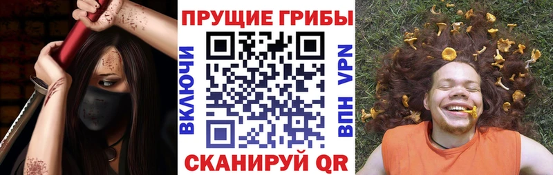 Купить  Избербаш  Псилоцибиновые грибы мухоморы 